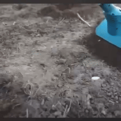 Аккумуляторный культиватор Ecocut